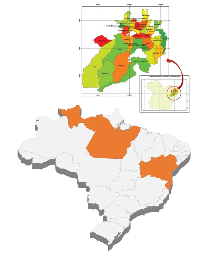 Mapa Palma Brasil