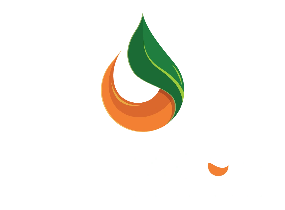 Palmacon - Palma do Brasil - Conferência & Negócios