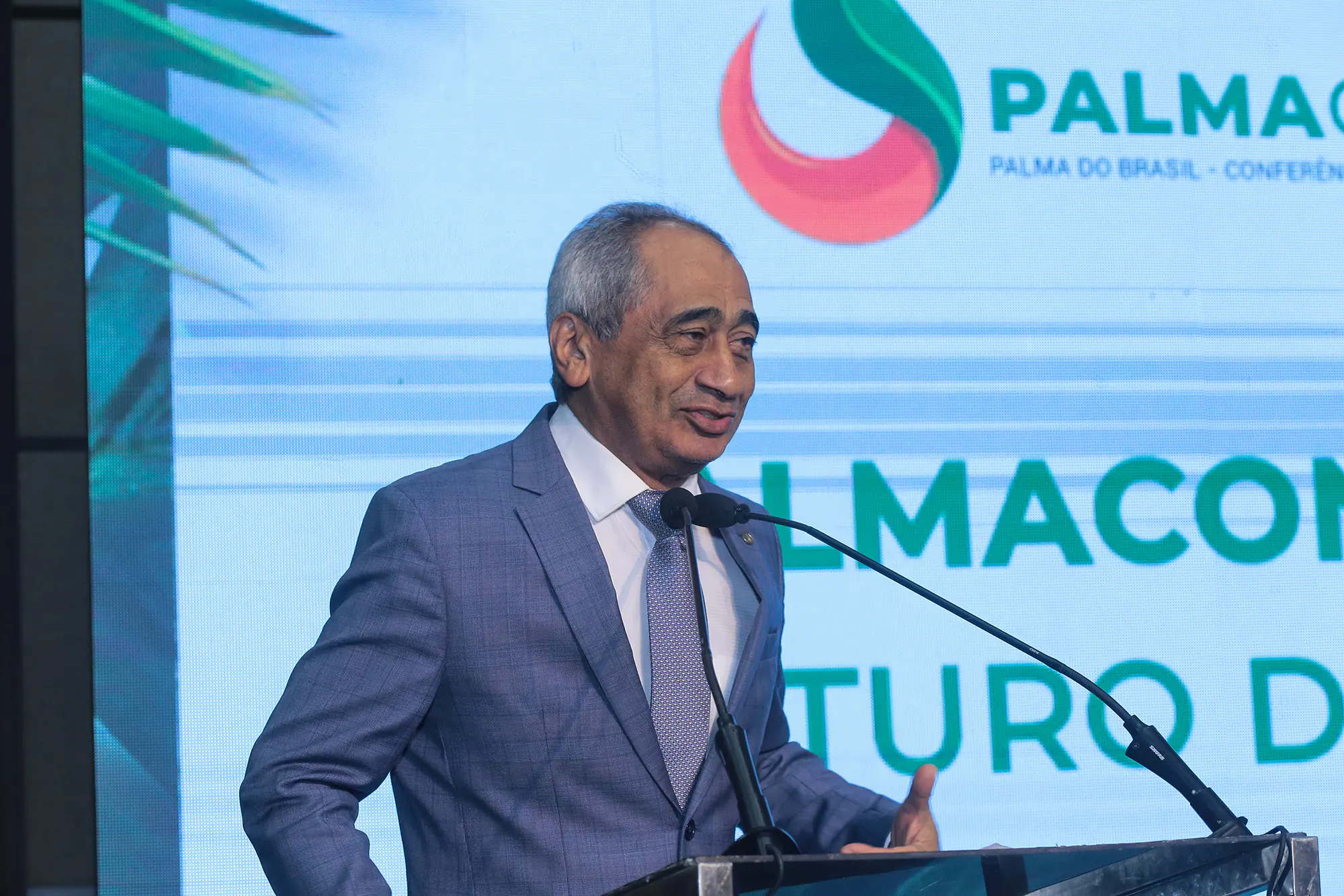 Edição anterior da Palmacon